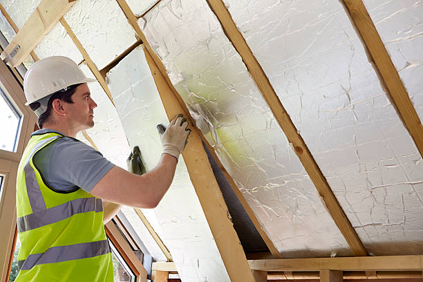 Best Insulation Maintenance and Repair in White Castle, LA